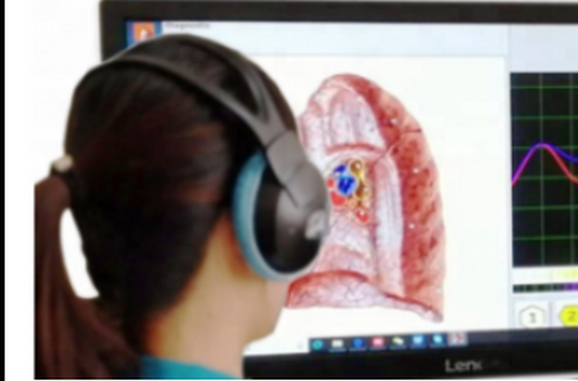 Bilan organique par Biorésonance – Image 2