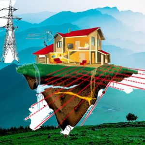 Aperçu général de la Géobiologie en Visio...