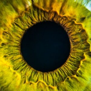 Iridologie de terrain